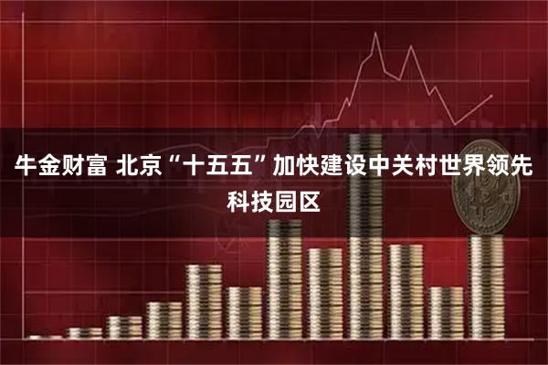 牛金财富 北京“十五五”加快建设中关村世界领先科技园区