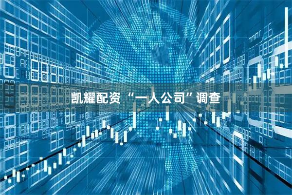 凯耀配资 “一人公司”调查