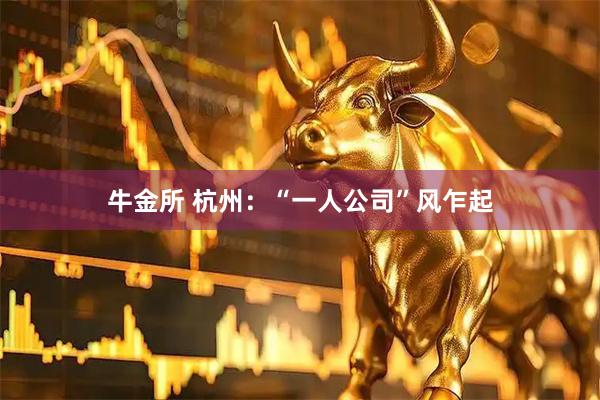 牛金所 杭州：“一人公司”风乍起